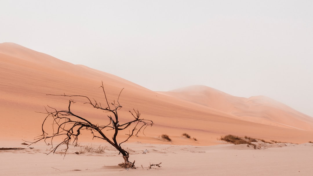 Photo Hospital, desert
